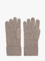 Gloves Cashmere Vercors  Etrier Beige vercors EVER429U