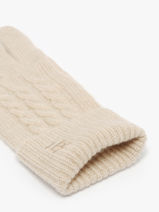 Gloves Cashmere Sierra Etrier Beige sierra ESIE431U-vue-porte